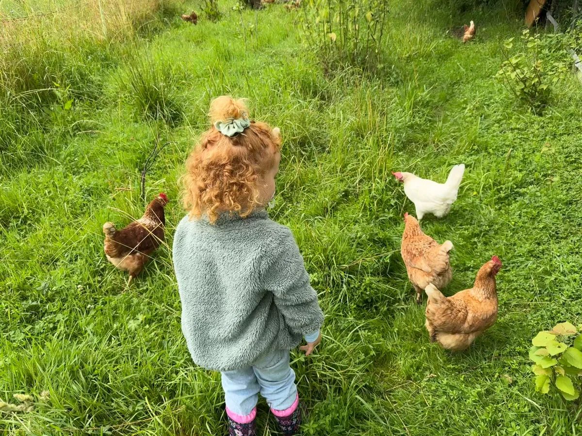 Simone Maurer hält auf ihrem Lebenshof Sinulay dutzende gerettete Tiere.